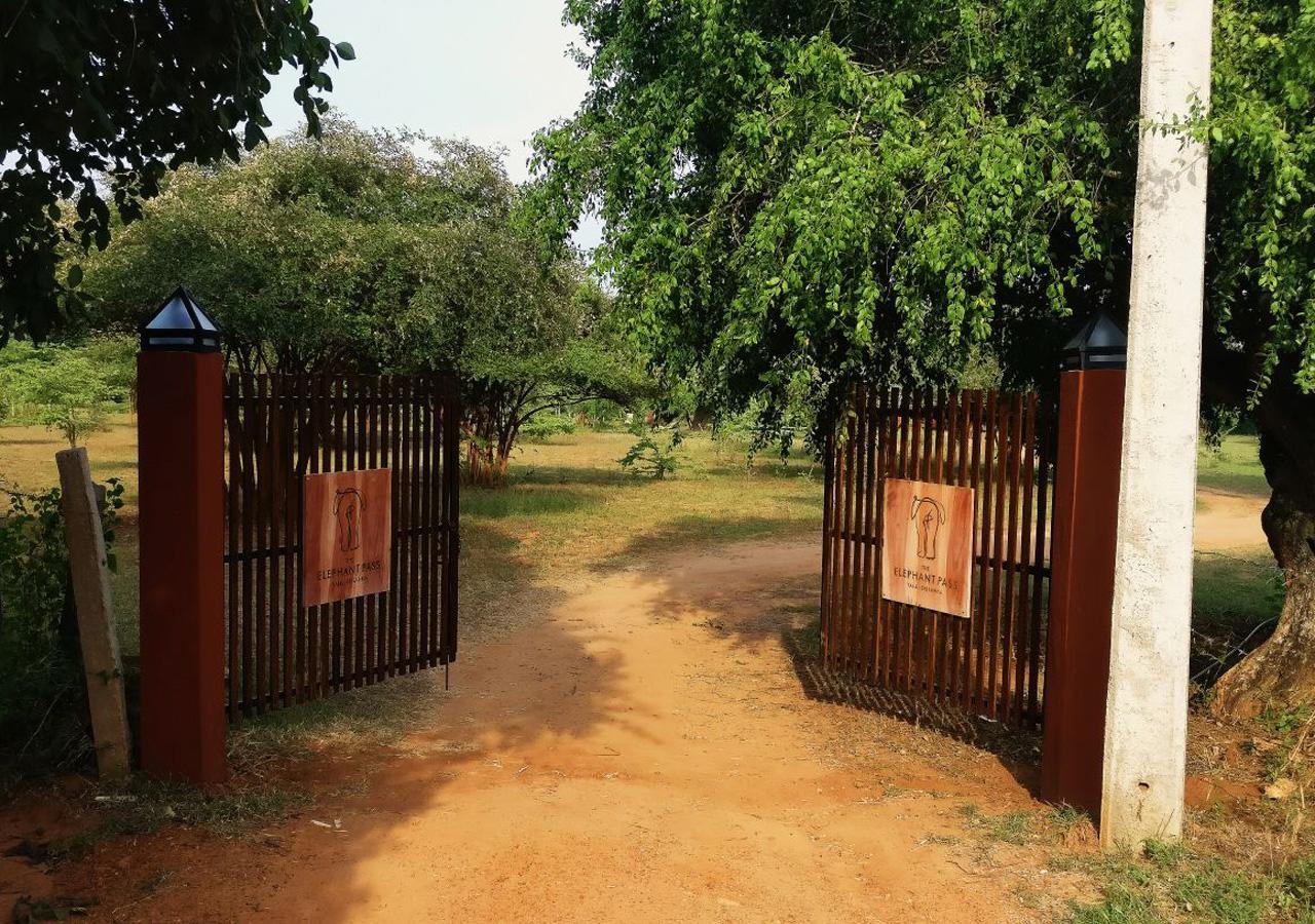The Elephant Pass - Yala Tissamaharama Dış mekan fotoğraf